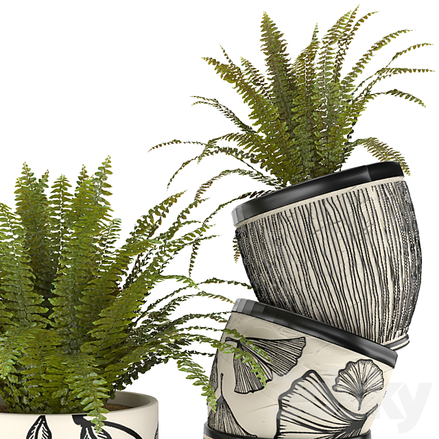 fern in vase 01 – indoor plant 3DS Max Model - thumbnail 2