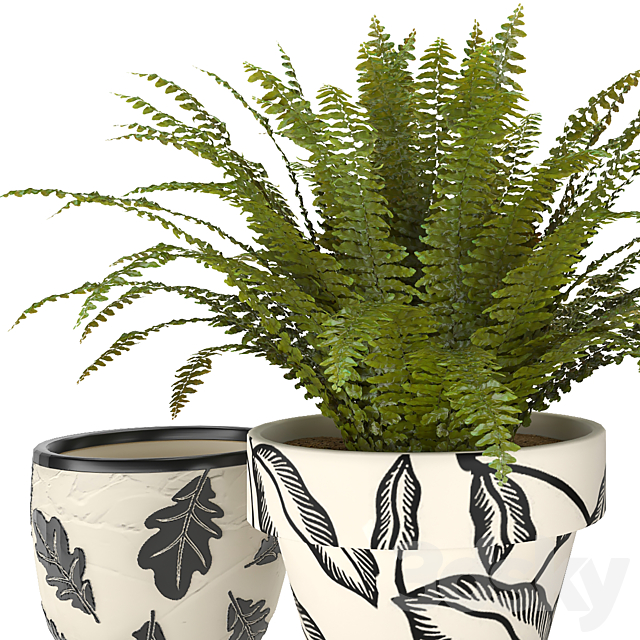 fern in vase 01 – indoor plant 3DS Max Model - thumbnail 3