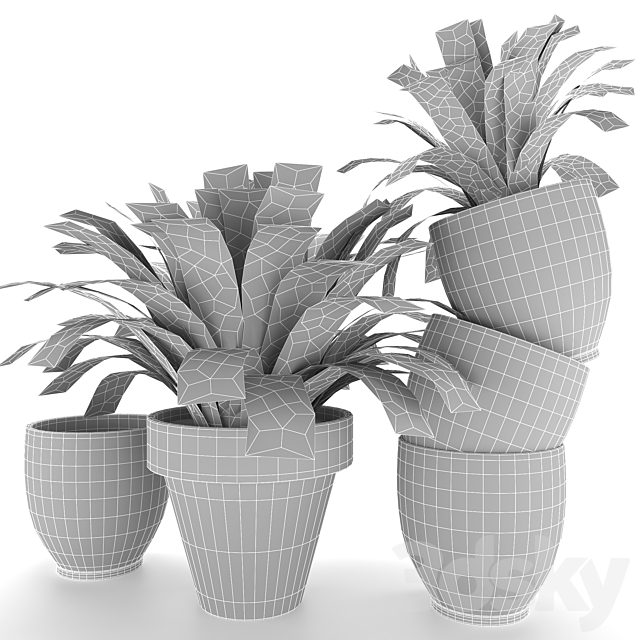 fern in vase 01 – indoor plant 3DS Max Model - thumbnail 4