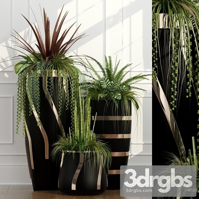 Fern Plant Pots 3dsmax Download - thumbnail 1