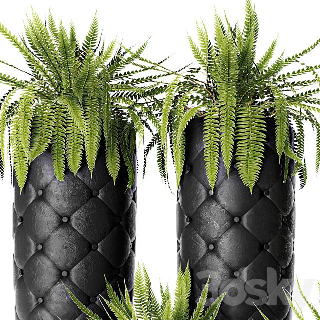 FERN + POTS Fleur Ami luxury flower pot flowerpot fern 3DS Max Model - thumbnail 2