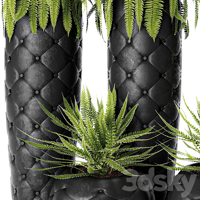 FERN + POTS Fleur Ami luxury flower pot flowerpot fern 3DS Max Model - thumbnail 3