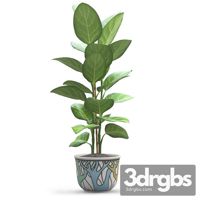 Ficus Andrey 1 3dsmax Download - thumbnail 1