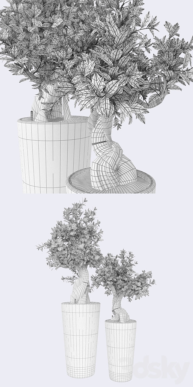 Ficus Bansal 3DSMax File - thumbnail 3