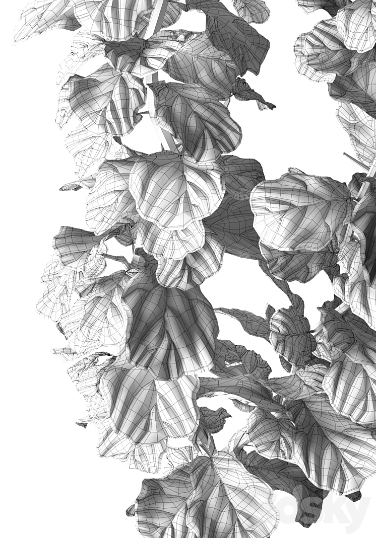 Ficus Lyrata 3DS Max - thumbnail 2