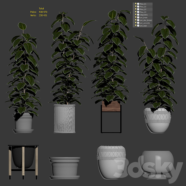 Ficuses in pots 3DSMax File - thumbnail 3