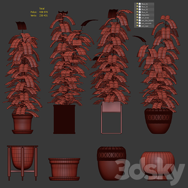 Ficuses in pots 3DSMax File - thumbnail 5