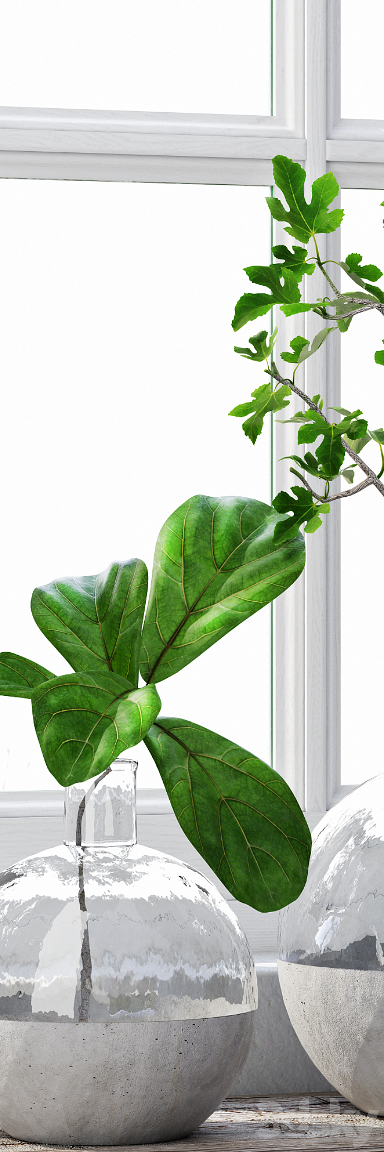 Fig Plants 1 3DS Max - thumbnail 2