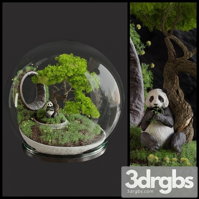 Florarium bonsai - thumbnail 1