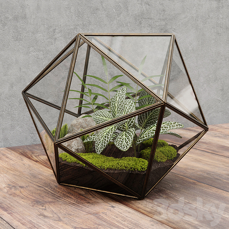 Florarium icosahedron 3DS Max - thumbnail 1