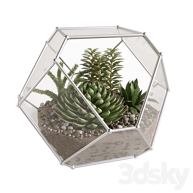 Florarium with succulents 3ds Max - thumbnail 1