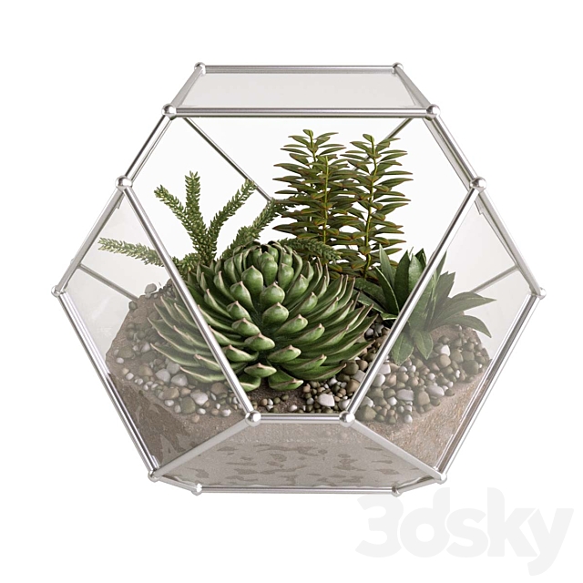 Florarium with succulents 3ds Max - thumbnail 2