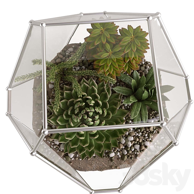 Florarium with succulents 3ds Max - thumbnail 3