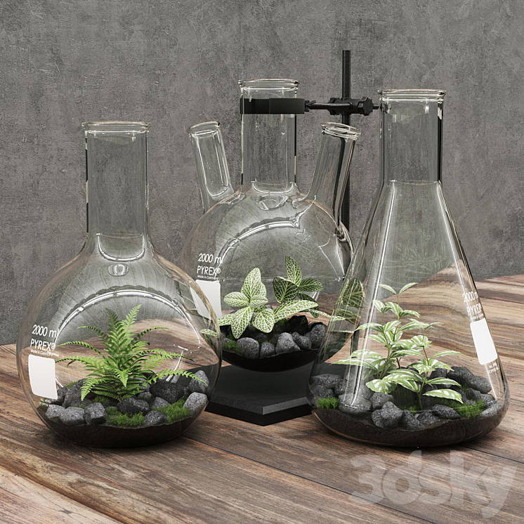 Florariumy flasks 3DS Max - thumbnail 1