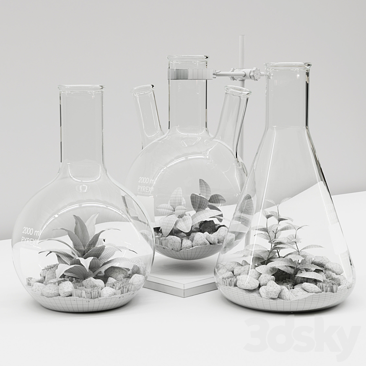 Florariumy flasks 3DS Max - thumbnail 2