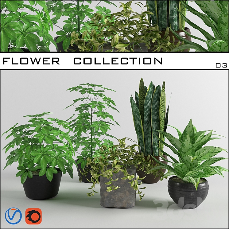 flower collection 03 3DS Max - thumbnail 1