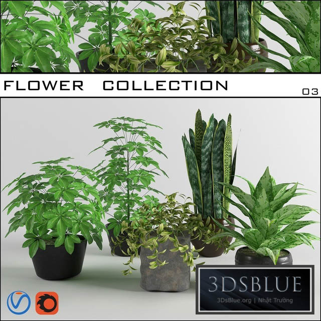 flower collection 03 3DS Max - thumbnail 3