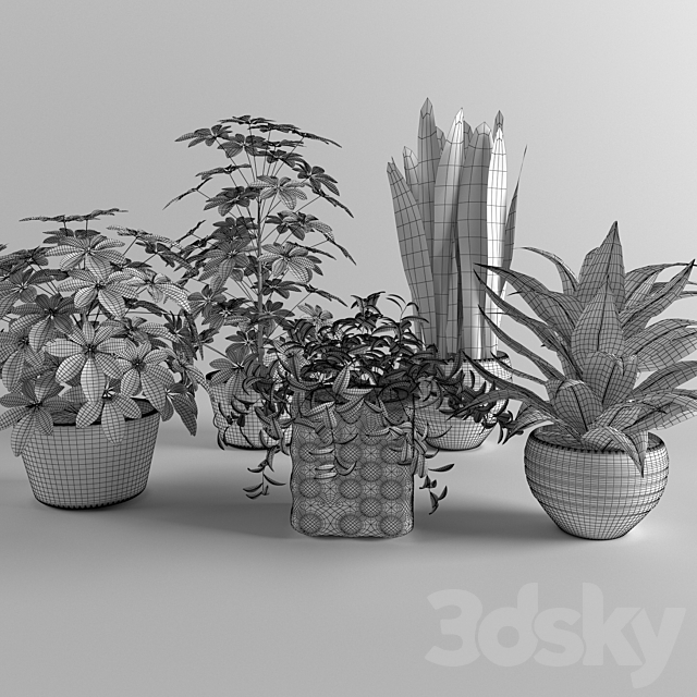 flower collection 03 3DSMax File - thumbnail 3