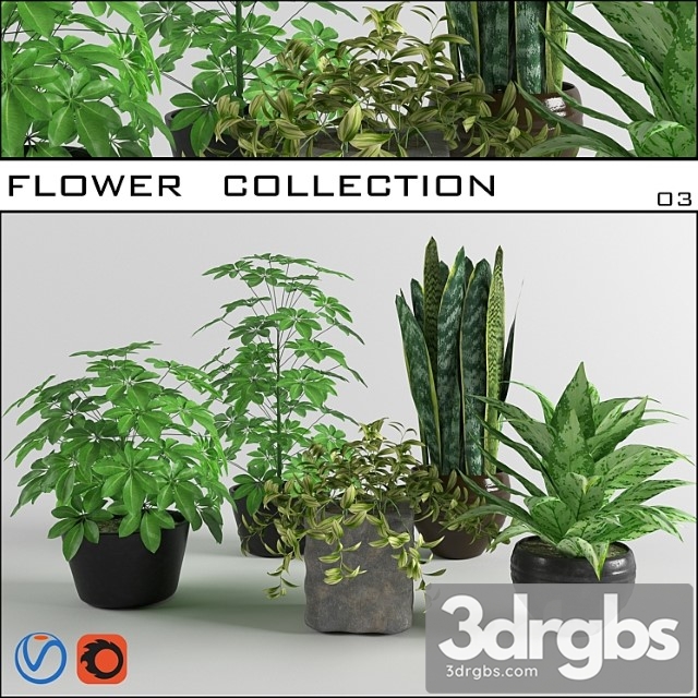 Flower collection 03 - thumbnail 1