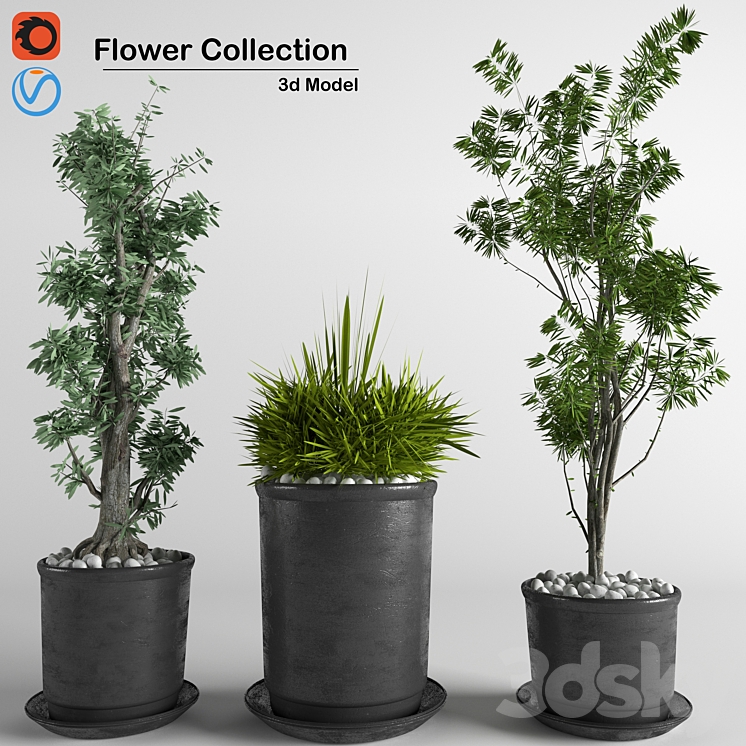 flower collection 3p 3DS Max - thumbnail 1