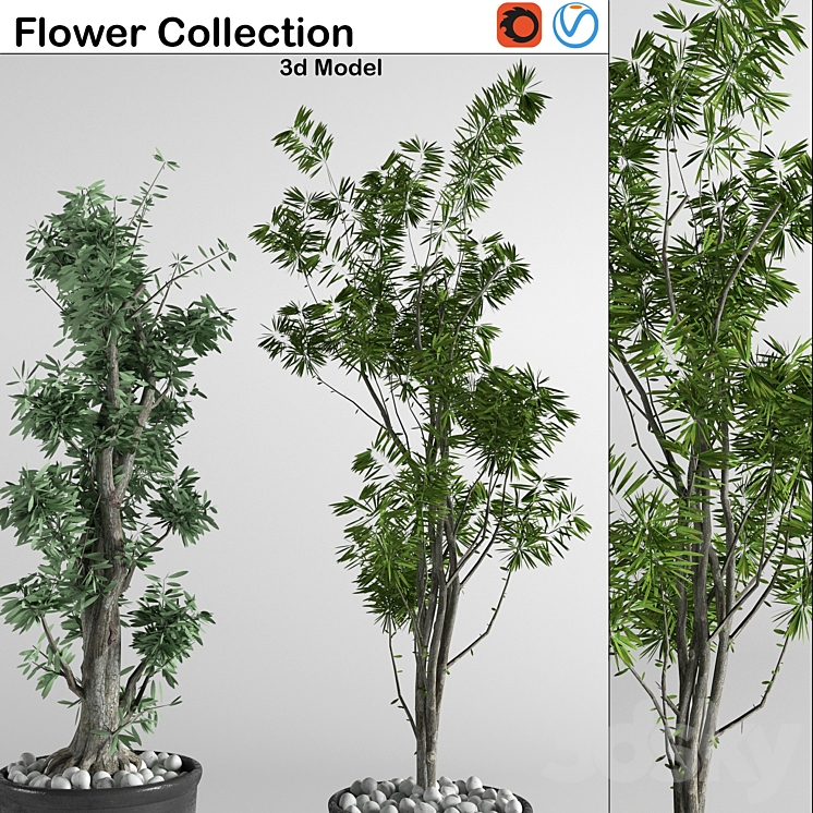 flower collection 3p 3DS Max - thumbnail 2