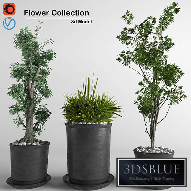 flower collection 3p 3DS Max - thumbnail 3