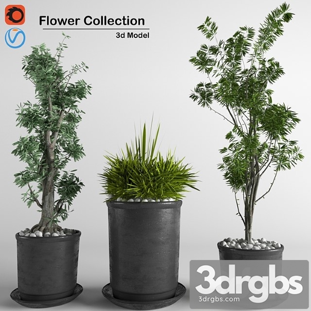 Flower collection 3p - thumbnail 1