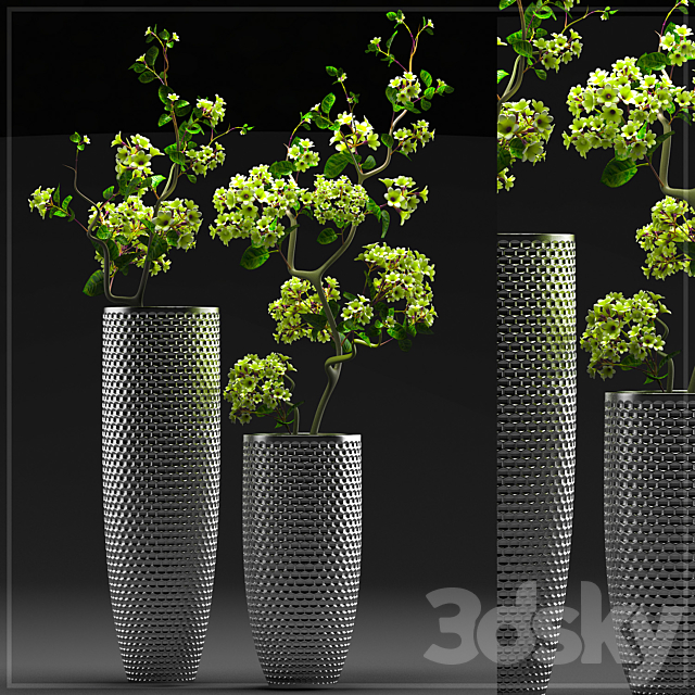 FLOWER SET 3 3DSMax File - thumbnail 1