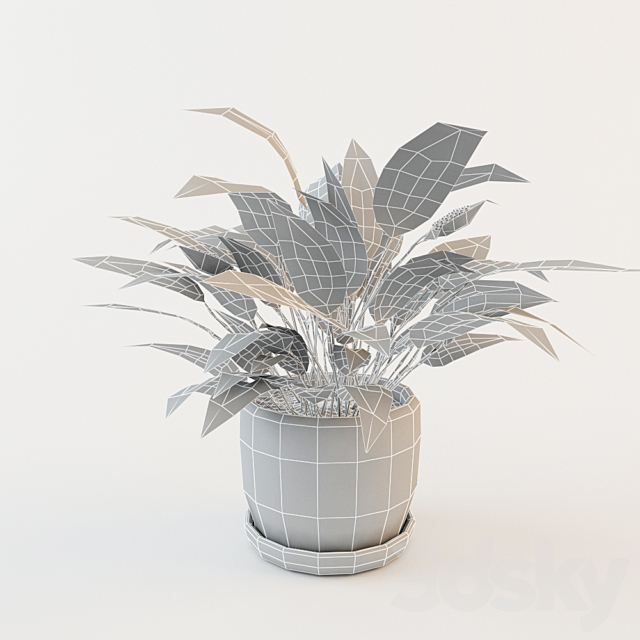 Flower spathiphyllum 3DSMax File - thumbnail 2