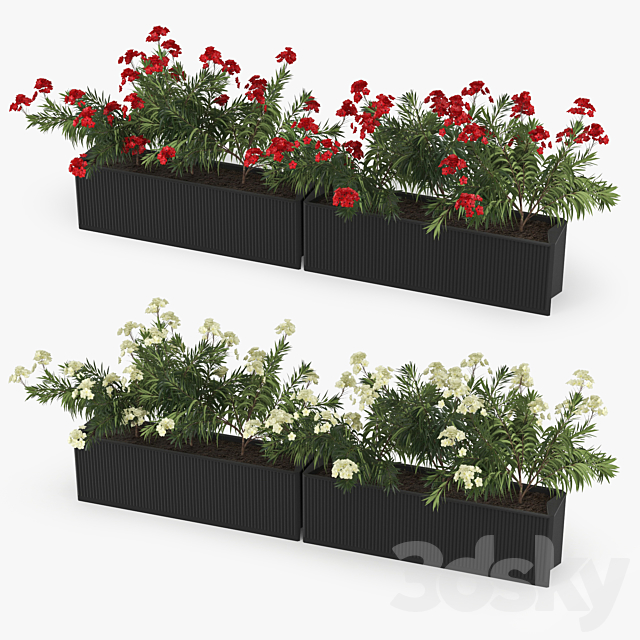 Flowerbed Nerium 3DS Max Model - thumbnail 2