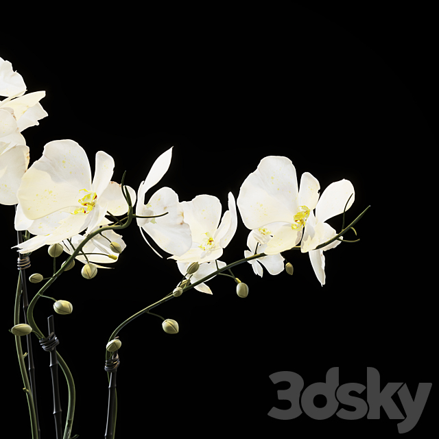 Flowers 05 3DSMax File - thumbnail 4