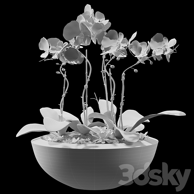 Flowers 05 3DSMax File - thumbnail 5