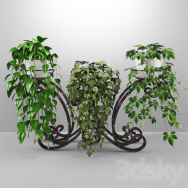 flowers 3DSMax File - thumbnail 1