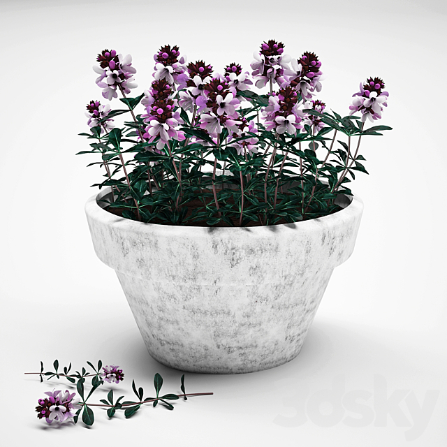 Flowers in a pot 3DSMax File - thumbnail 1