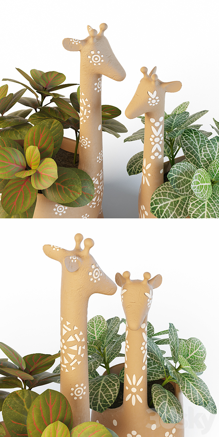 Giraffe Pots and Fittonia 3DS Max - thumbnail 2