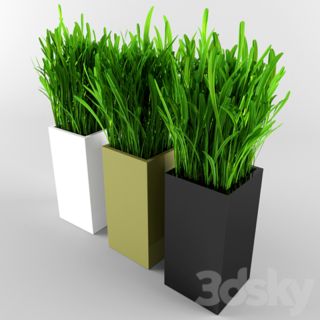 Grass 3DSMax File - thumbnail 1