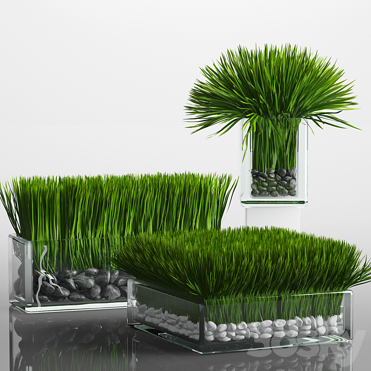 Grass Arrangement 3DS Max - thumbnail 1