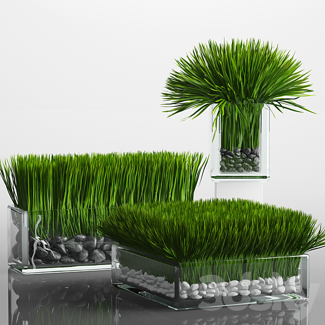 Grass Arrangement 3DSMax File - thumbnail 1