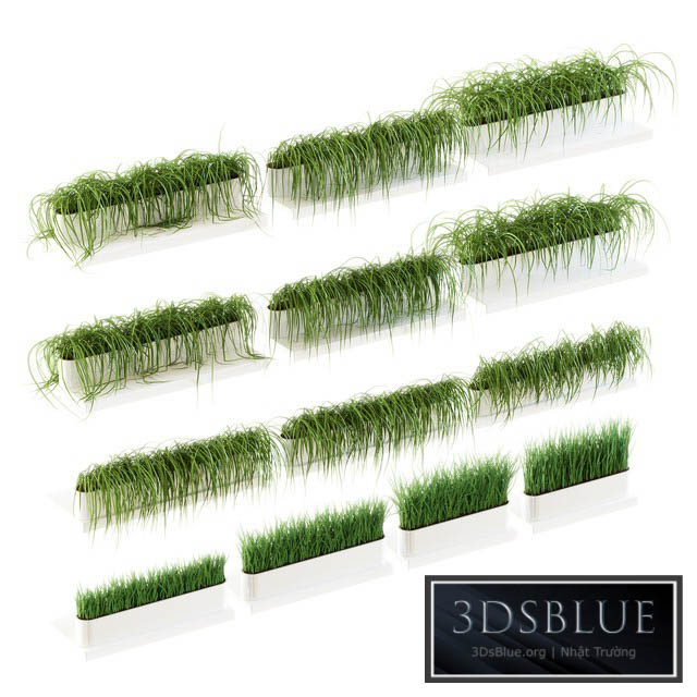 Grass for shelves. 13 models of v2 3DS Max - thumbnail 3