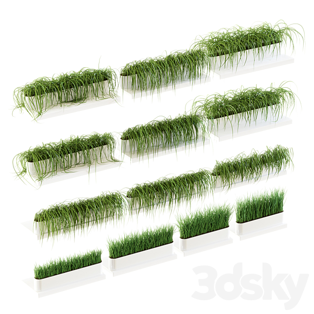 Grass for shelves. 13 models of v2 3DS Max Model - thumbnail 1