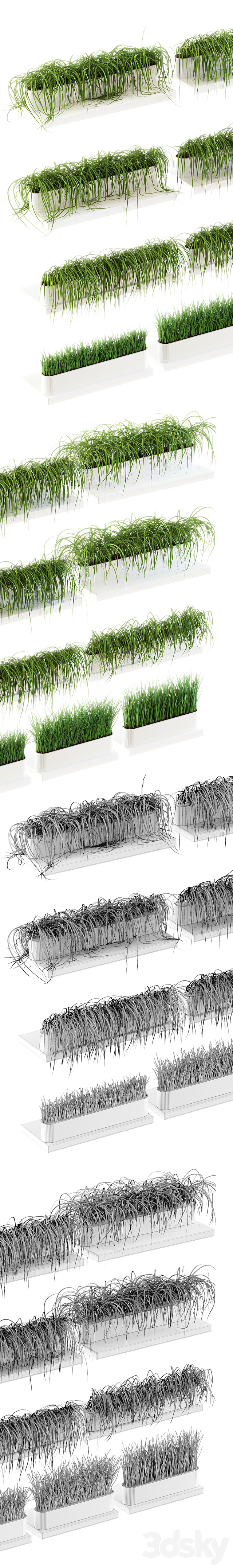 Grass for shelves. 13 models of v2 3DS Max Model - thumbnail 2