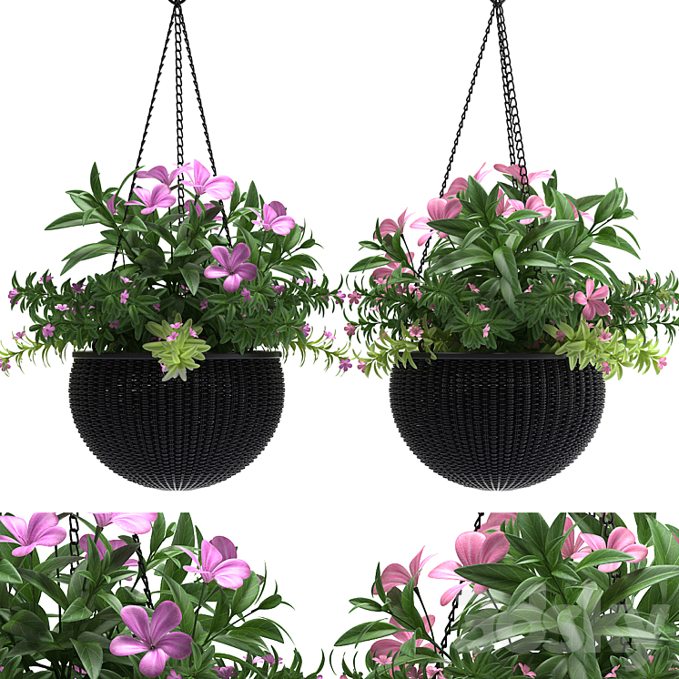 HANGING BASKET 3DS Max - thumbnail 1