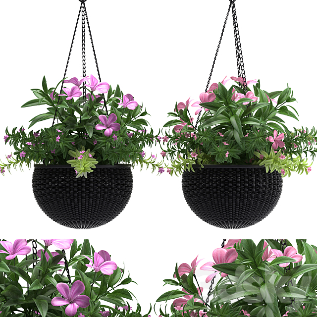 HANGING BASKET 3DSMax File - thumbnail 1