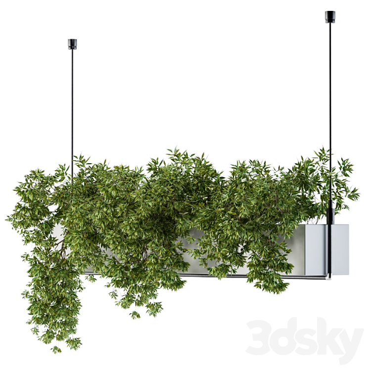 Hanging box plant 3DS Max - thumbnail 1