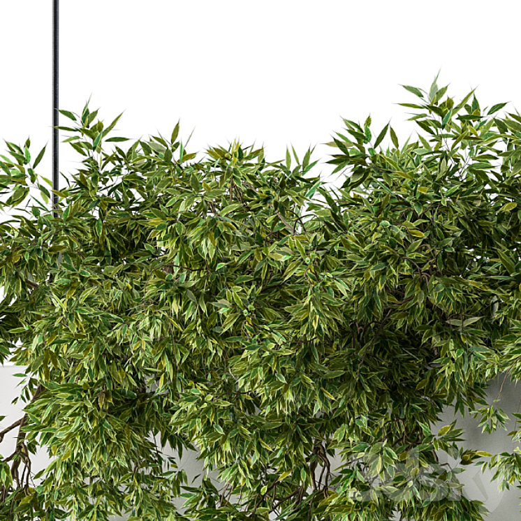 Hanging box plant 3DS Max - thumbnail 2