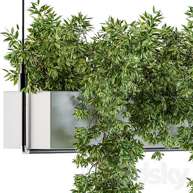 Hanging box plant 3DSMax File - thumbnail 3