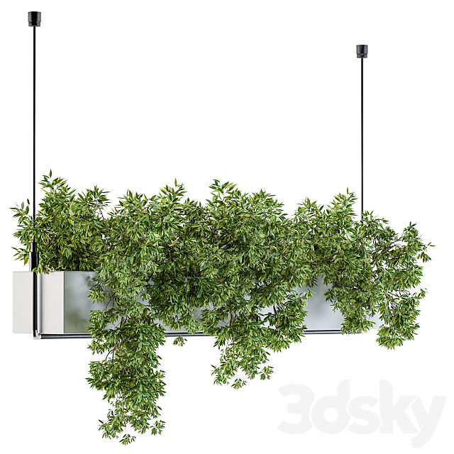 Hanging box plant 3DSMax File - thumbnail 4