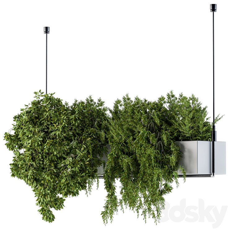 Hanging box plant – Set 70 3DS Max - thumbnail 2