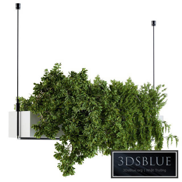 Hanging box plant – Set 70 3DS Max - thumbnail 3