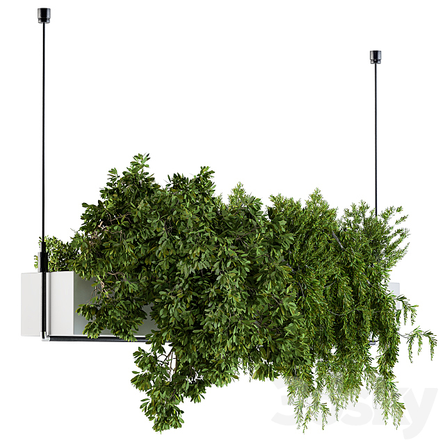 Hanging box plant – Set 70 3DSMax File - thumbnail 1